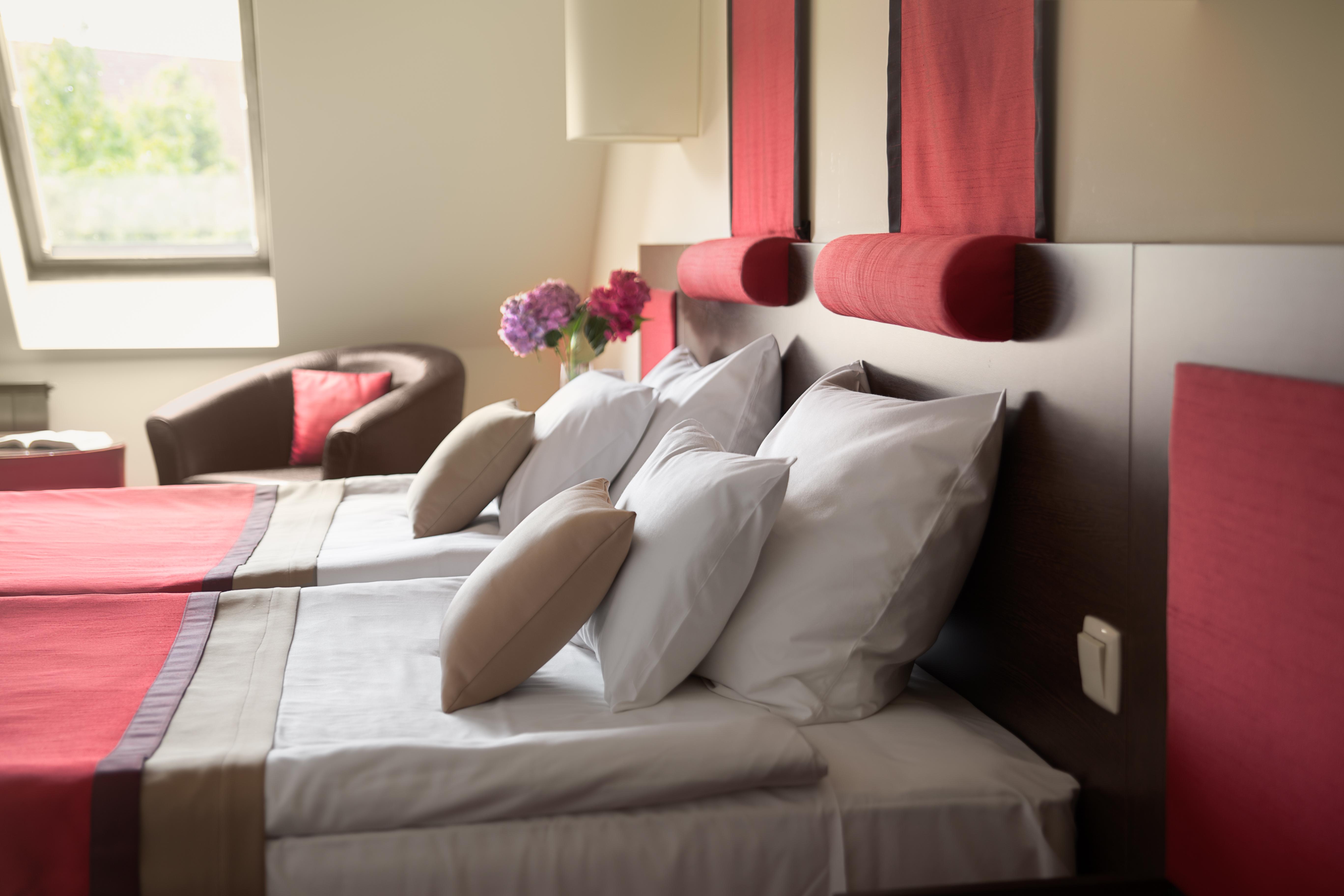 Rubin Wellness & Conference Hotel, Budapest